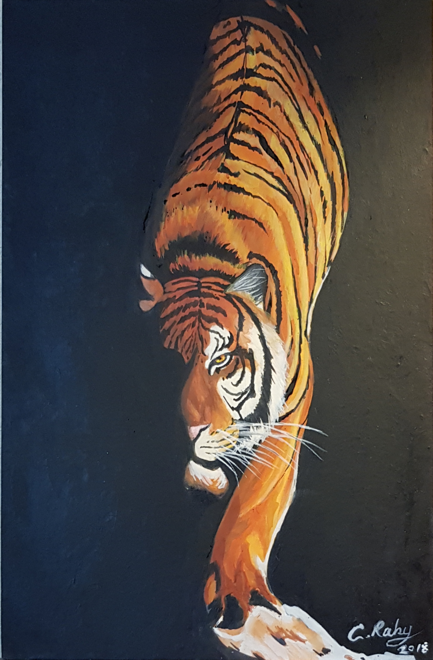 art-Charles-Raby-Tiger-half-shadow