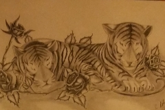 Two tigers